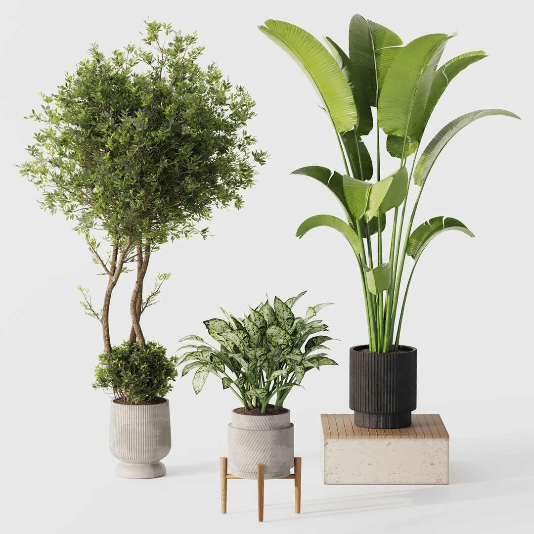 Indoor Plant Set 02 3D Model – Modern Pot Plants, OBJ & 3Dsmax - View 6