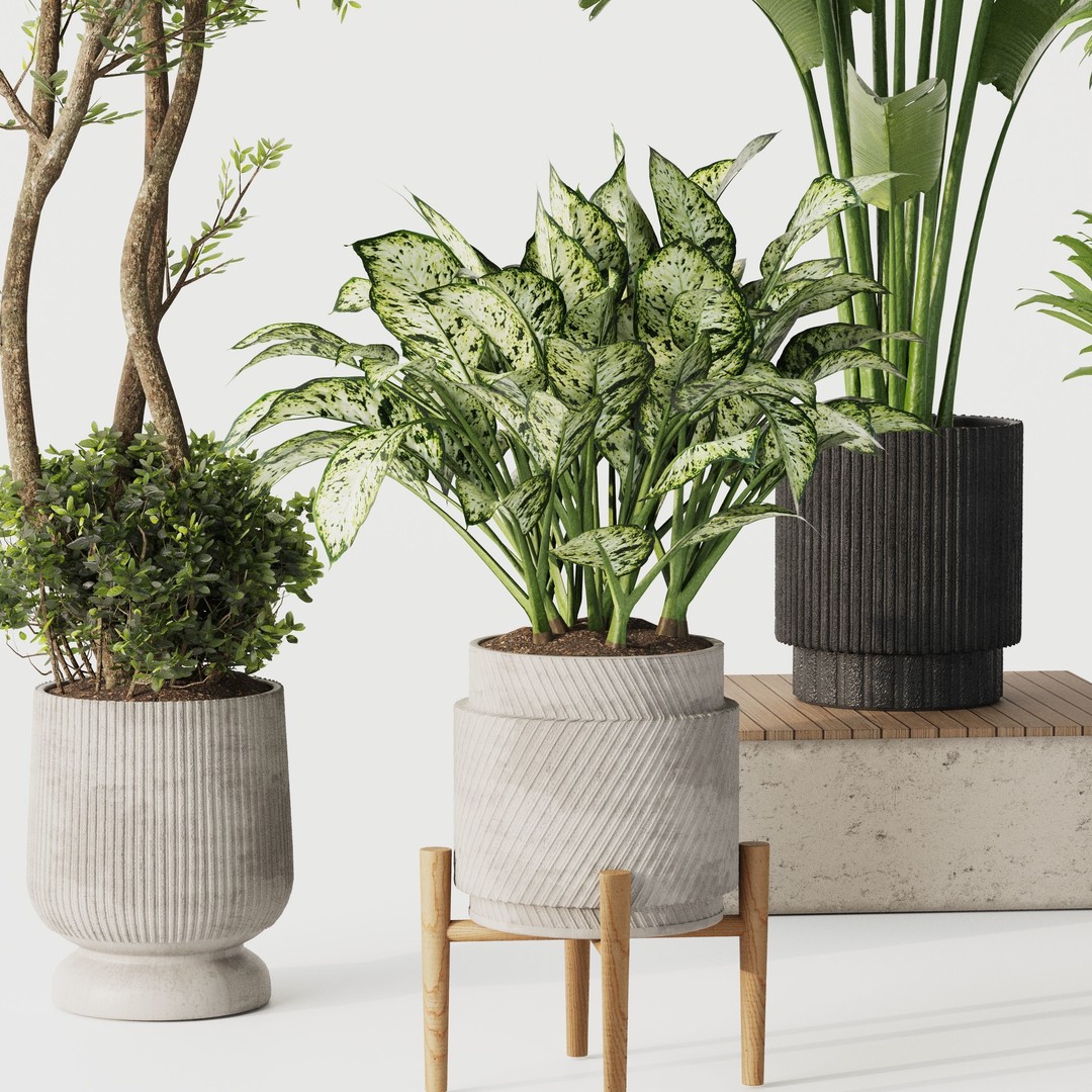 Indoor Plant Set 02 3D Model – Modern Pot Plants, OBJ & 3Dsmax - View 7