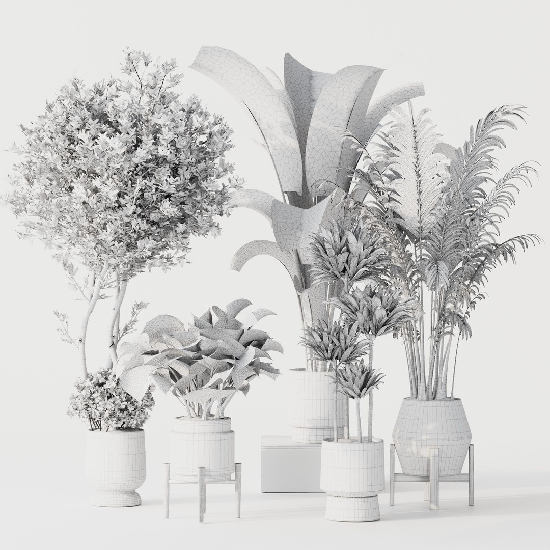 Indoor Plant Set 02 3D Model – Modern Pot Plants, OBJ & 3Dsmax - View 8