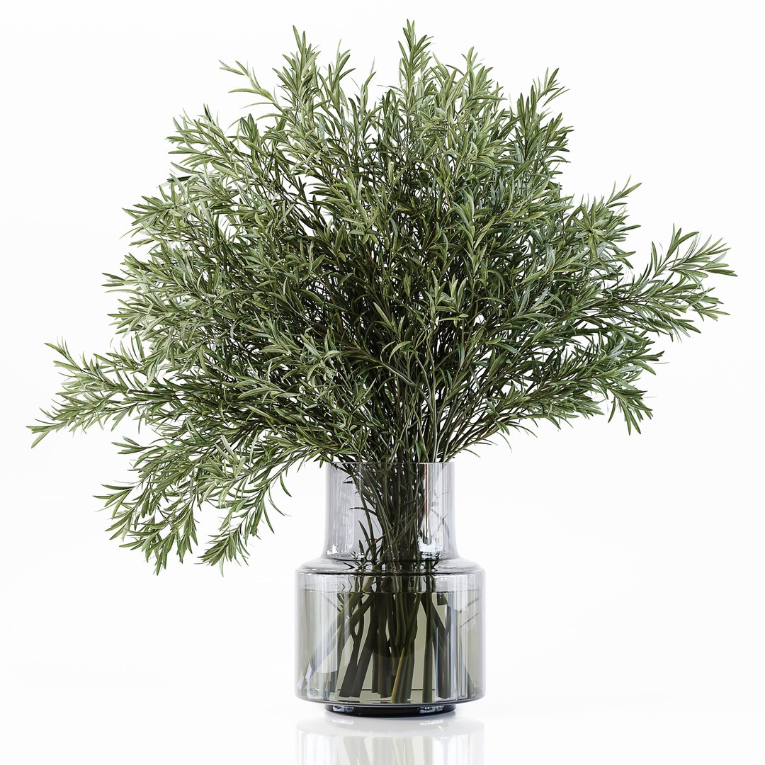 Indoor Plants 3D Model – Low Poly Collection for Interior Design