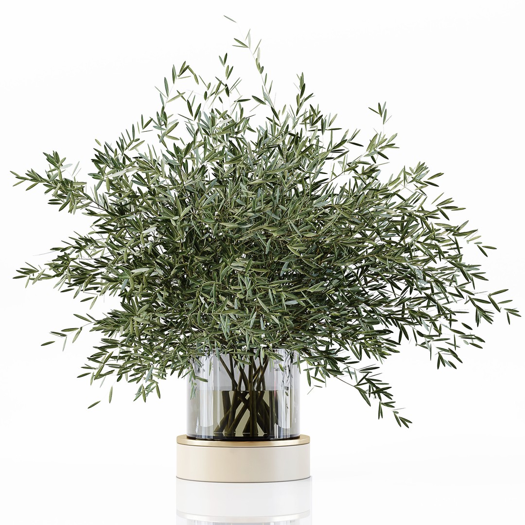 Indoor Plants 3D Model – Low Poly Collection for Interior Design - View 10