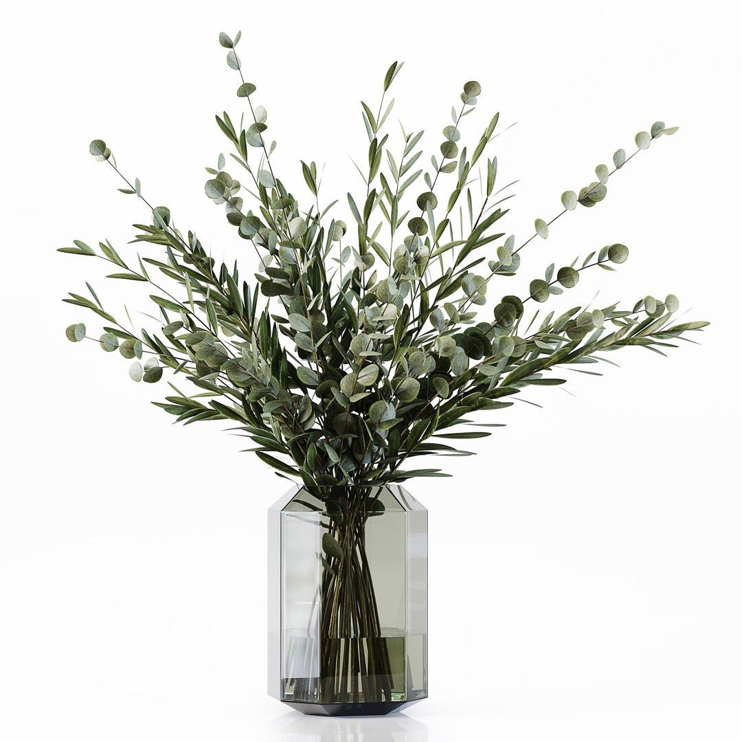 Indoor Plants 3D Model – Low Poly Collection for Interior Design - View 9