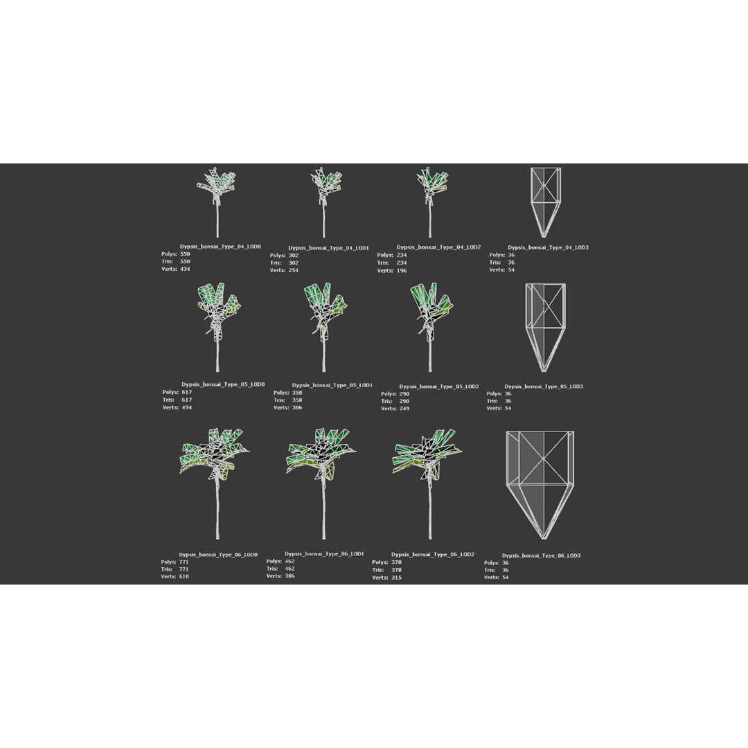 Dypsis Bonsai Conifer 3D Model – Low Poly PBR Asset, FBX, OBJ