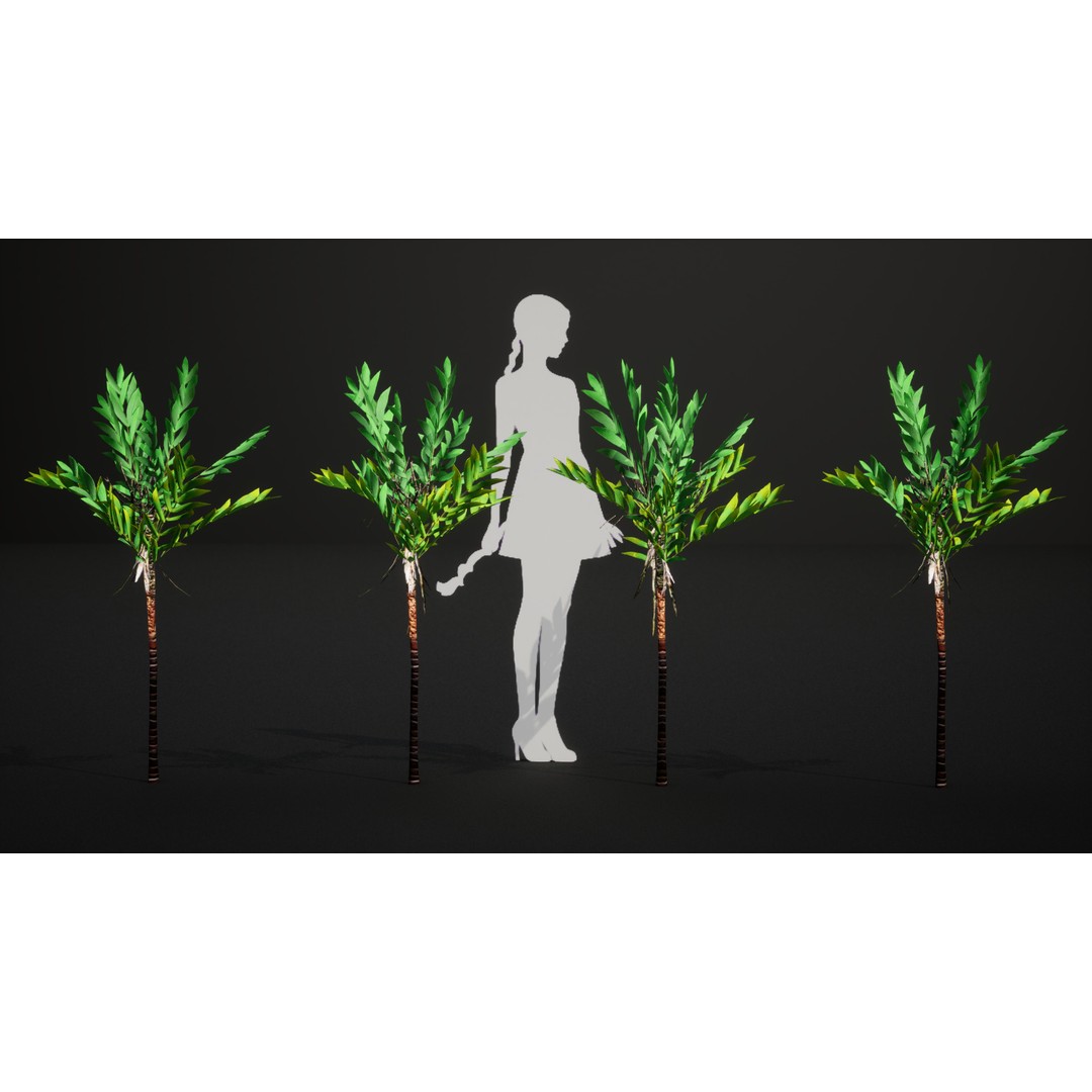 Dypsis Bonsai Conifer 3D Model – Low Poly PBR Asset, FBX, OBJ - View 10