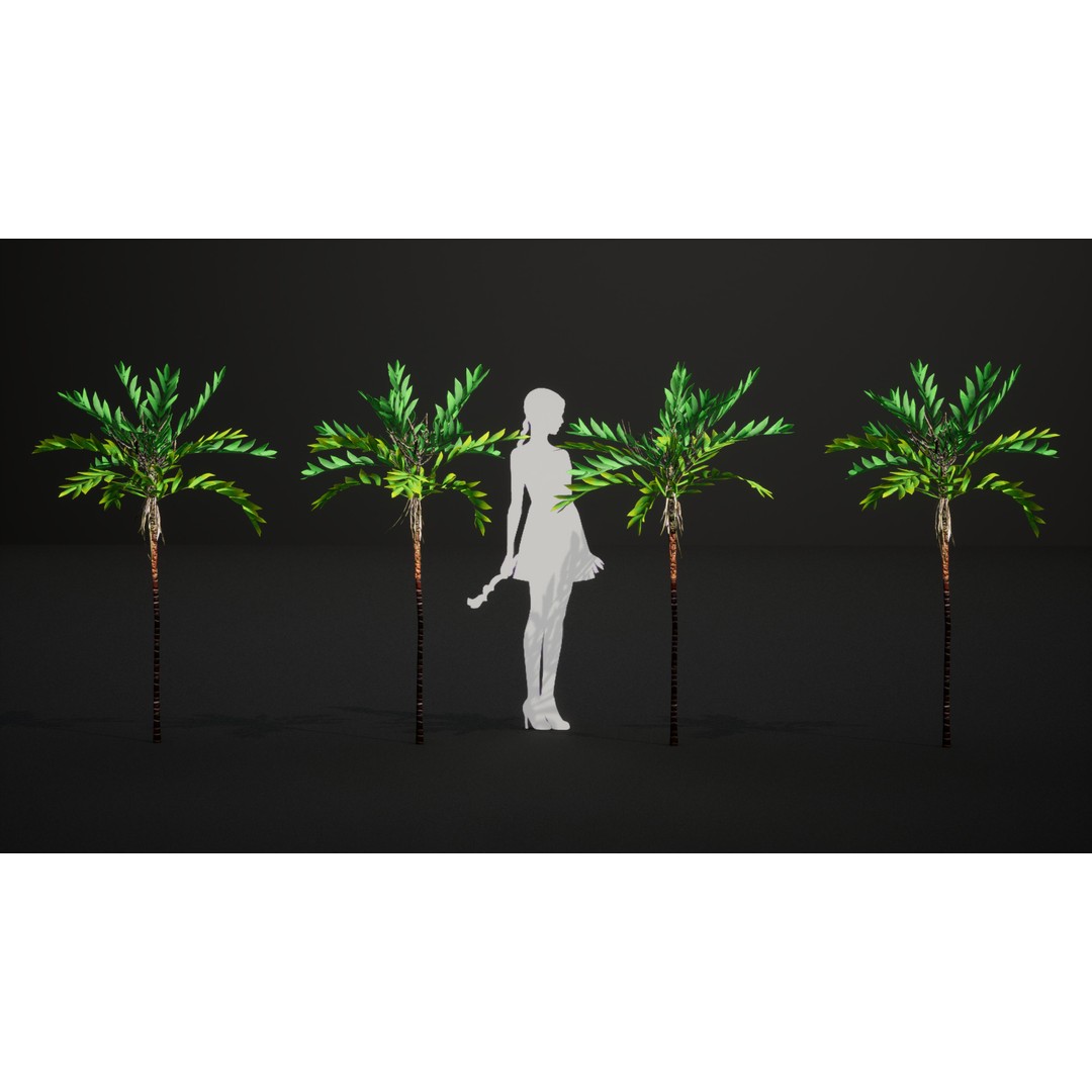 Dypsis Bonsai Conifer 3D Model – Low Poly PBR Asset, FBX, OBJ - View 11