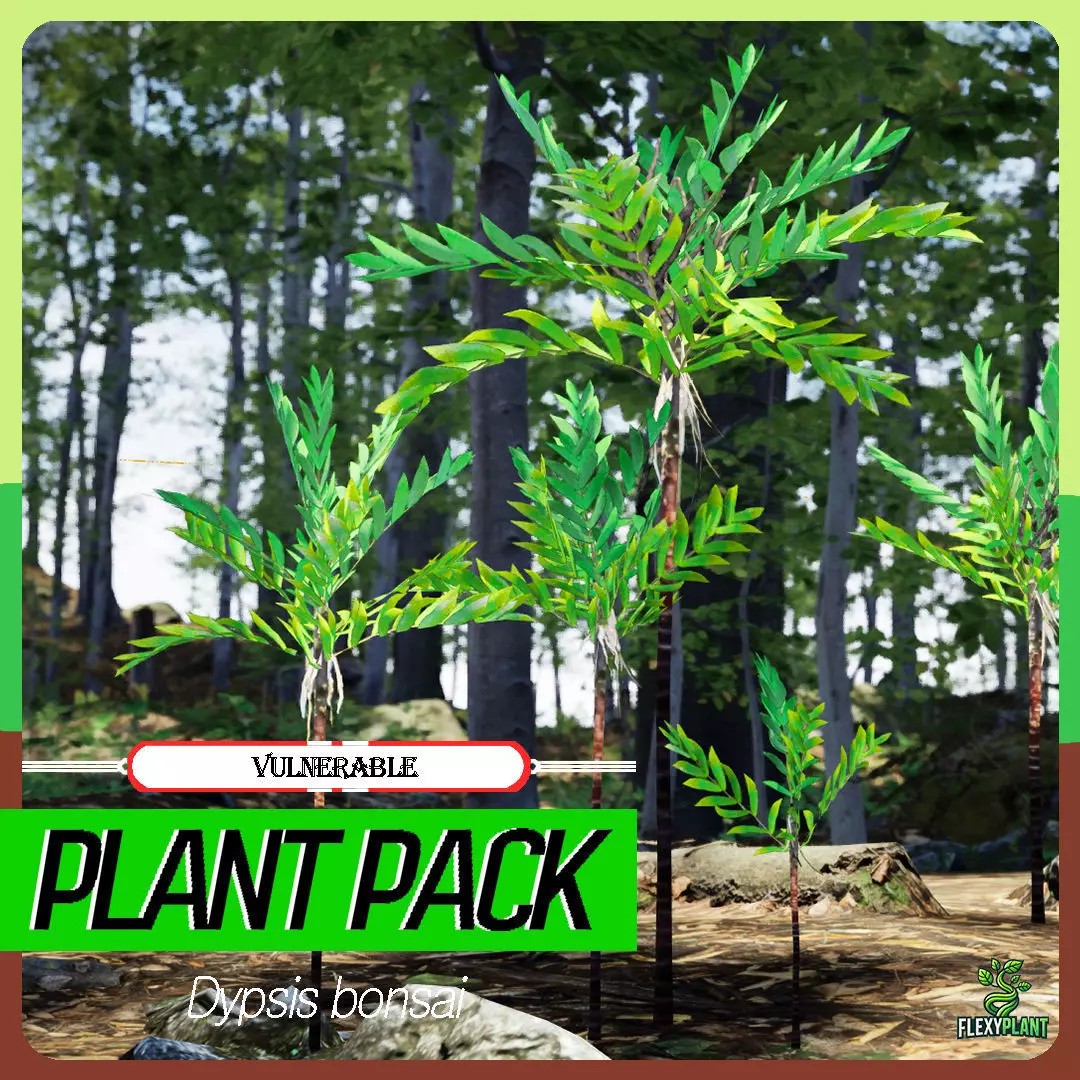 Dypsis Bonsai Conifer 3D Model – Low Poly PBR Asset, FBX, OBJ - View 2