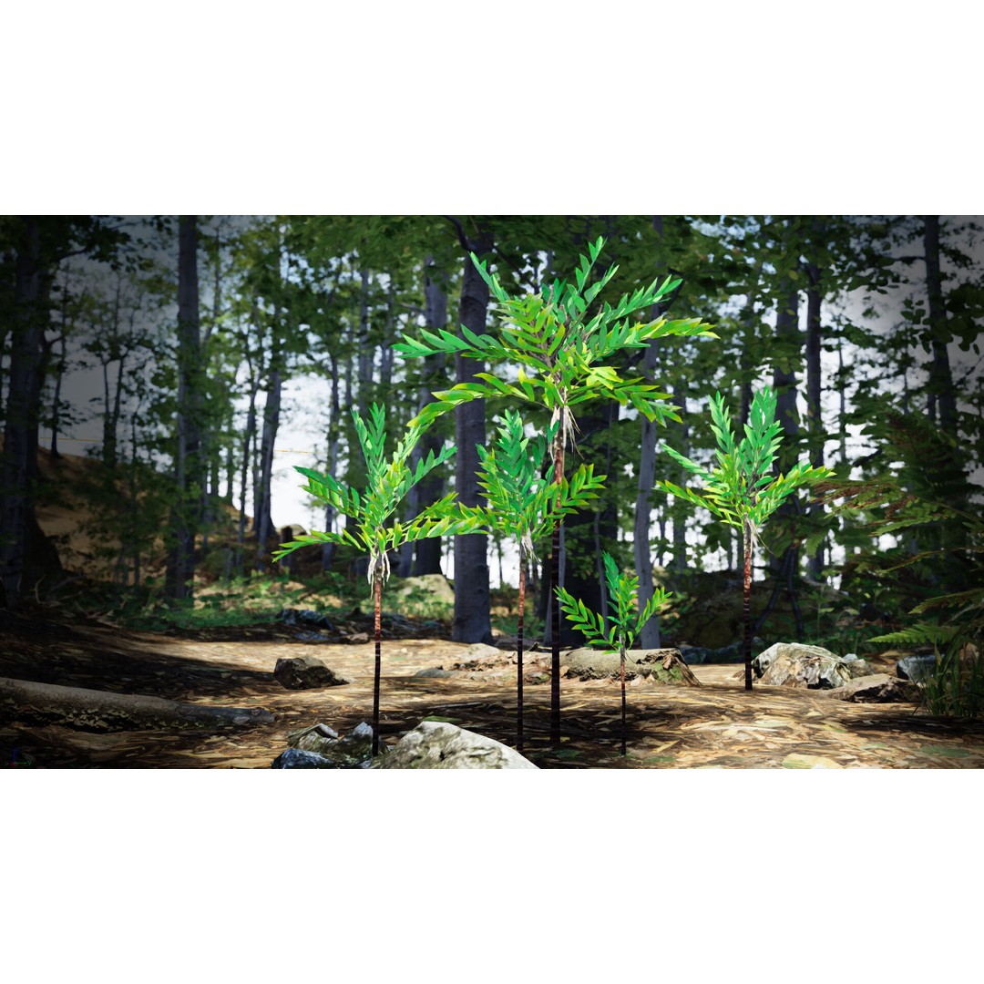 Dypsis Bonsai Conifer 3D Model – Low Poly PBR Asset, FBX, OBJ - View 3