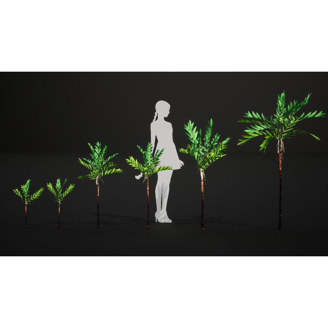 Dypsis Bonsai Conifer 3D Model – Low Poly PBR Asset, FBX, OBJ - View 5