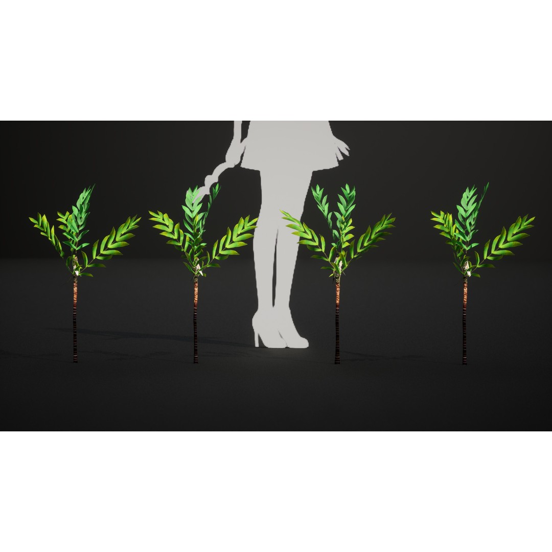 Dypsis Bonsai Conifer 3D Model – Low Poly PBR Asset, FBX, OBJ - View 6