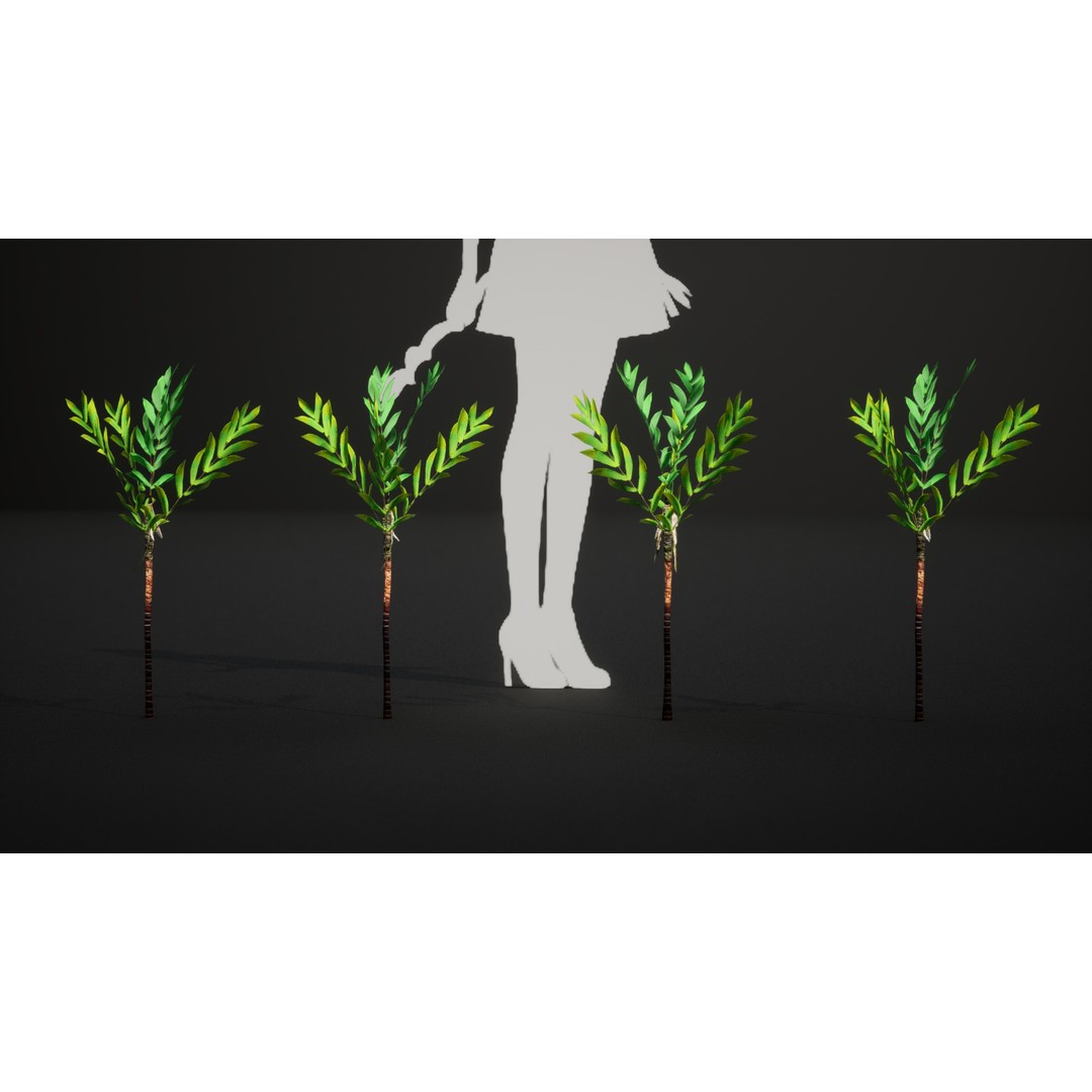 Dypsis Bonsai Conifer 3D Model – Low Poly PBR Asset, FBX, OBJ - View 7