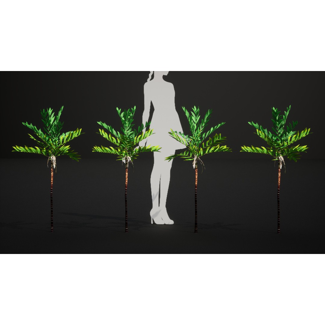 Dypsis Bonsai Conifer 3D Model – Low Poly PBR Asset, FBX, OBJ - View 8