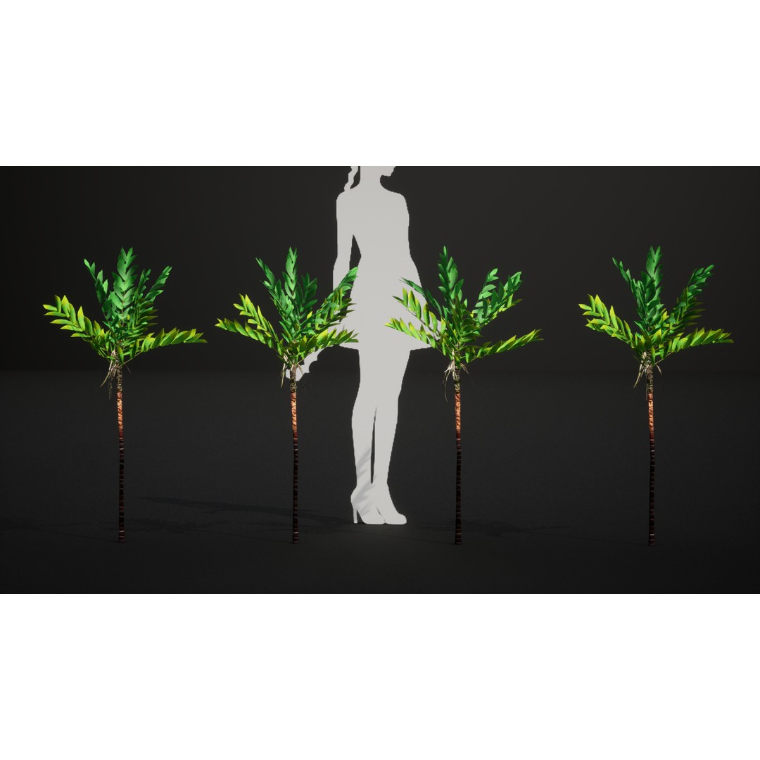 Dypsis Bonsai Conifer 3D Model – Low Poly PBR Asset, FBX, OBJ - View 9