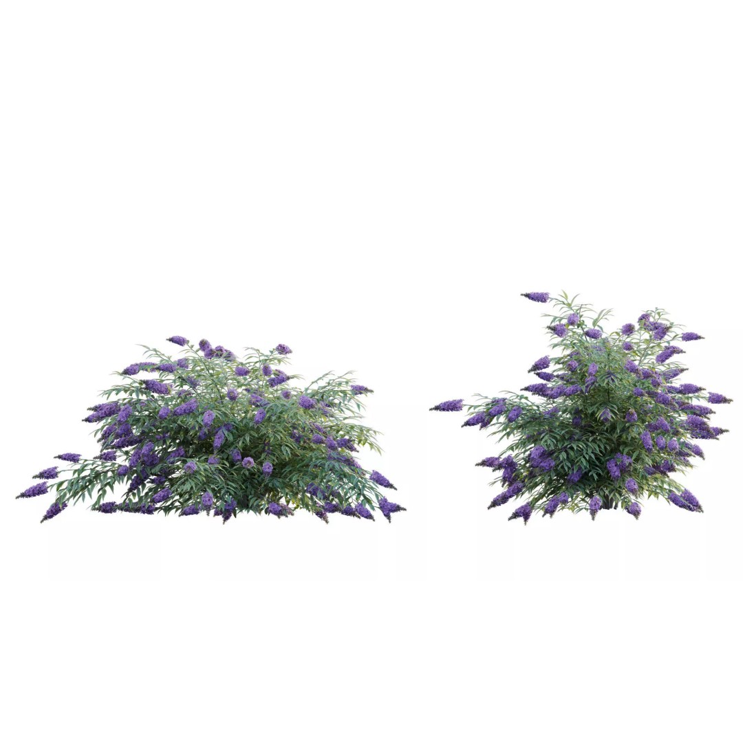North America Garden 3D Model – PBR Plant Asset, FBX Format - View 10