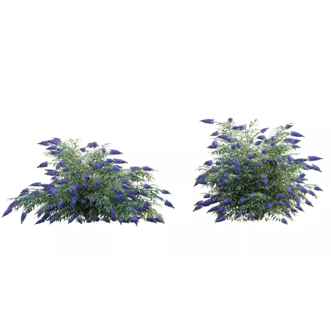 North America Garden 3D Model – PBR Plant Asset, FBX Format - View 11