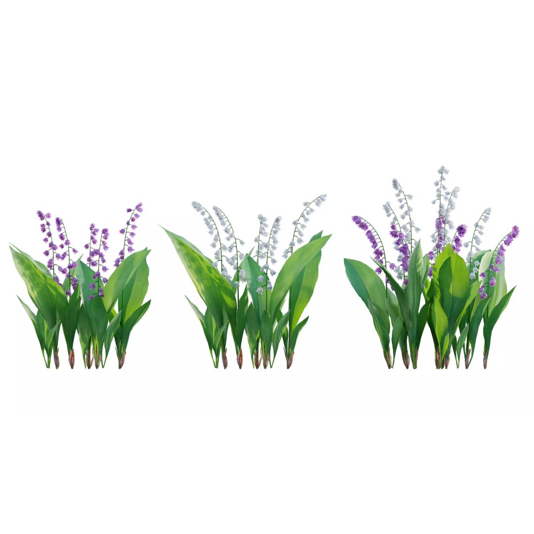North America Garden 3D Model – PBR Plant Asset, FBX Format - View 13