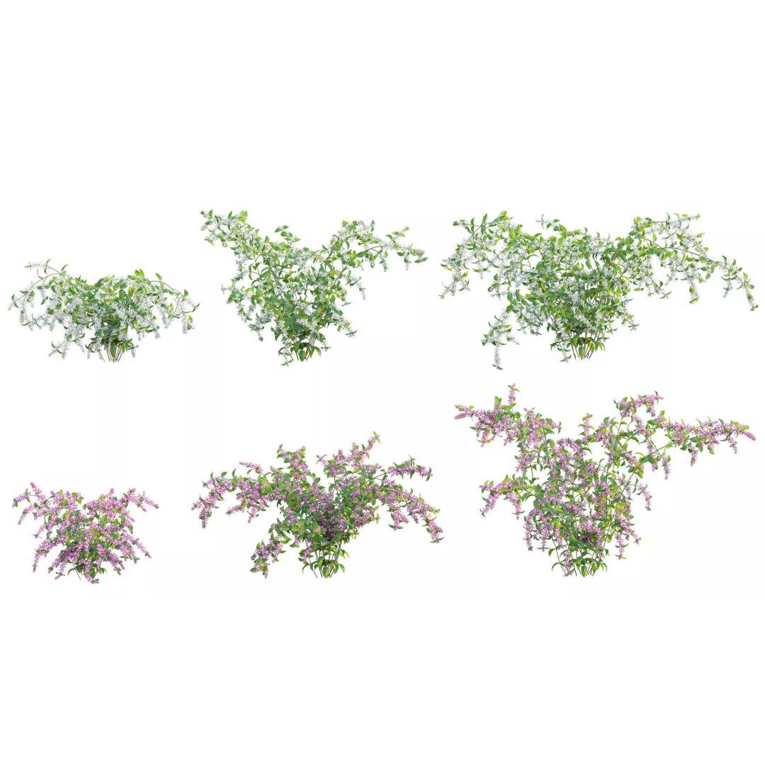 North America Garden 3D Model – PBR Plant Asset, FBX Format - View 14