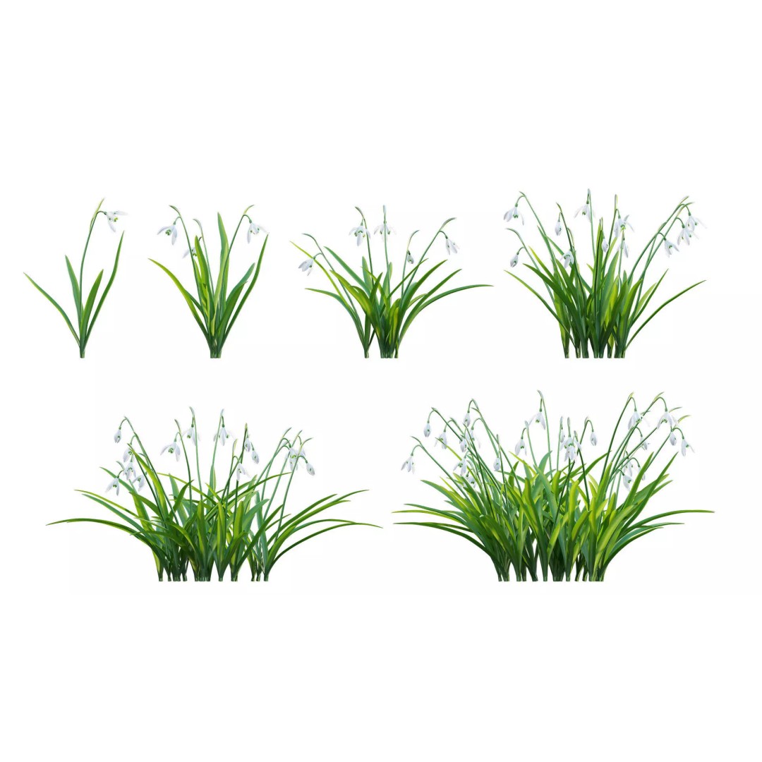North America Garden 3D Model – PBR Plant Asset, FBX Format - View 17