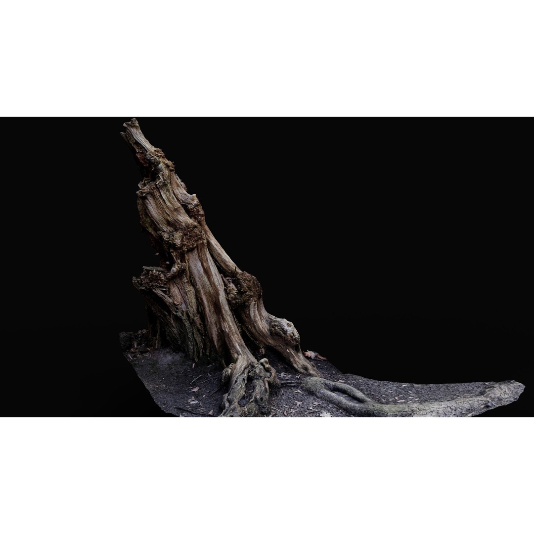 Old Tree Stump 3D Model – Low Poly Photogrammetry Asset, FBX - View 3