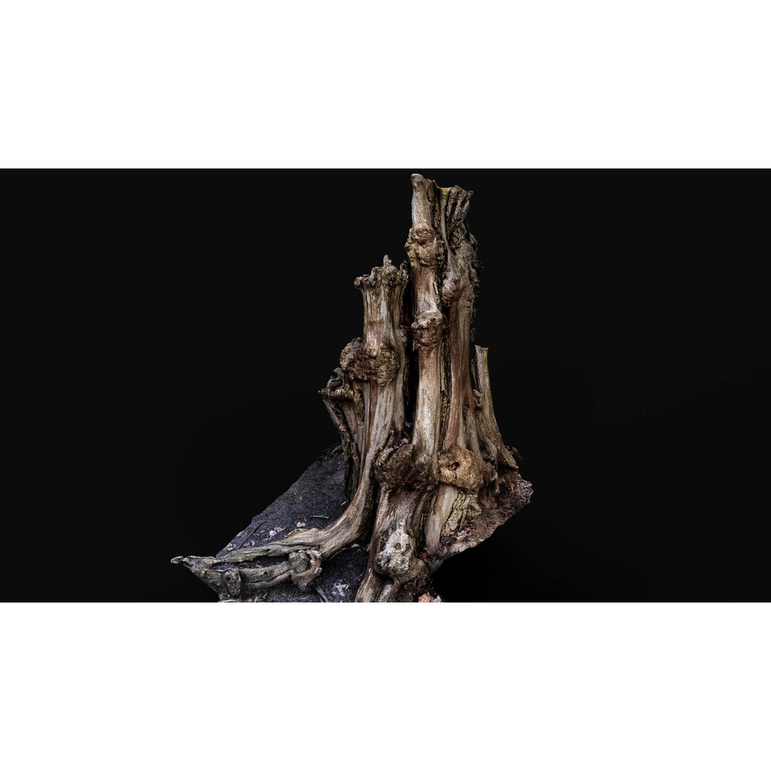 Old Tree Stump 3D Model – Low Poly Photogrammetry Asset, FBX - View 4