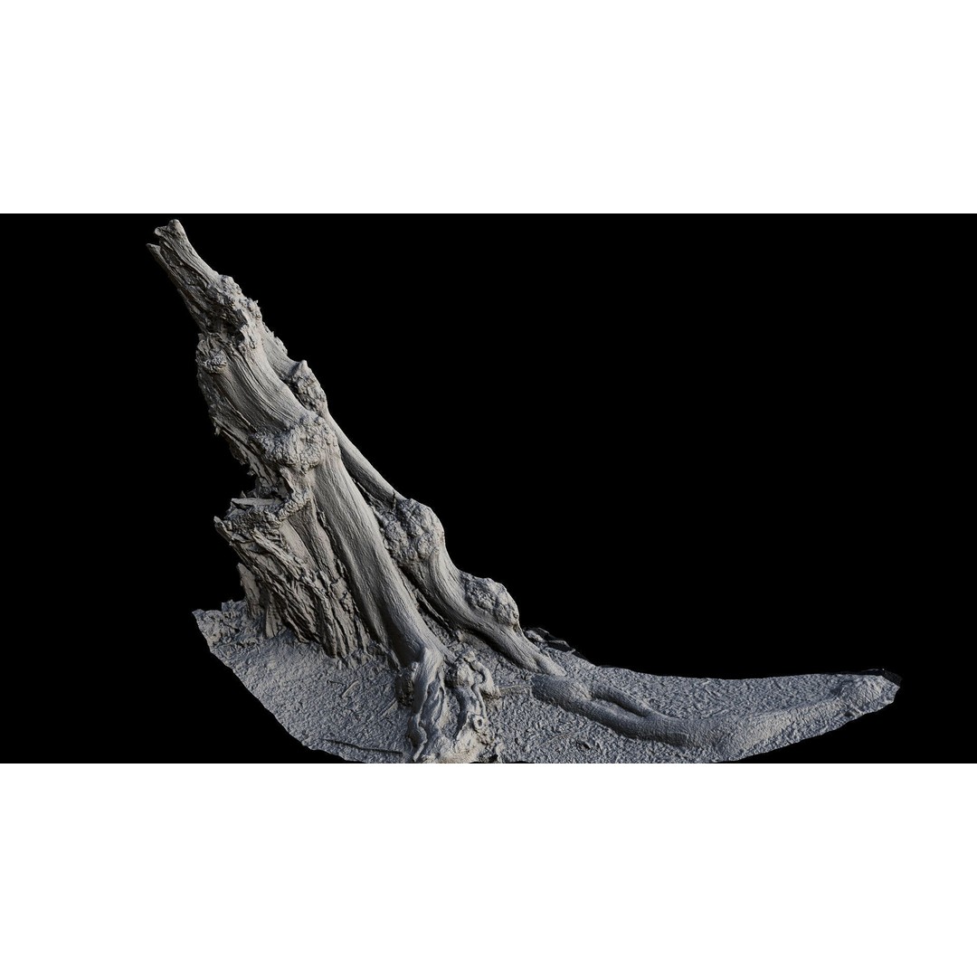 Old Tree Stump 3D Model – Low Poly Photogrammetry Asset, FBX - View 7