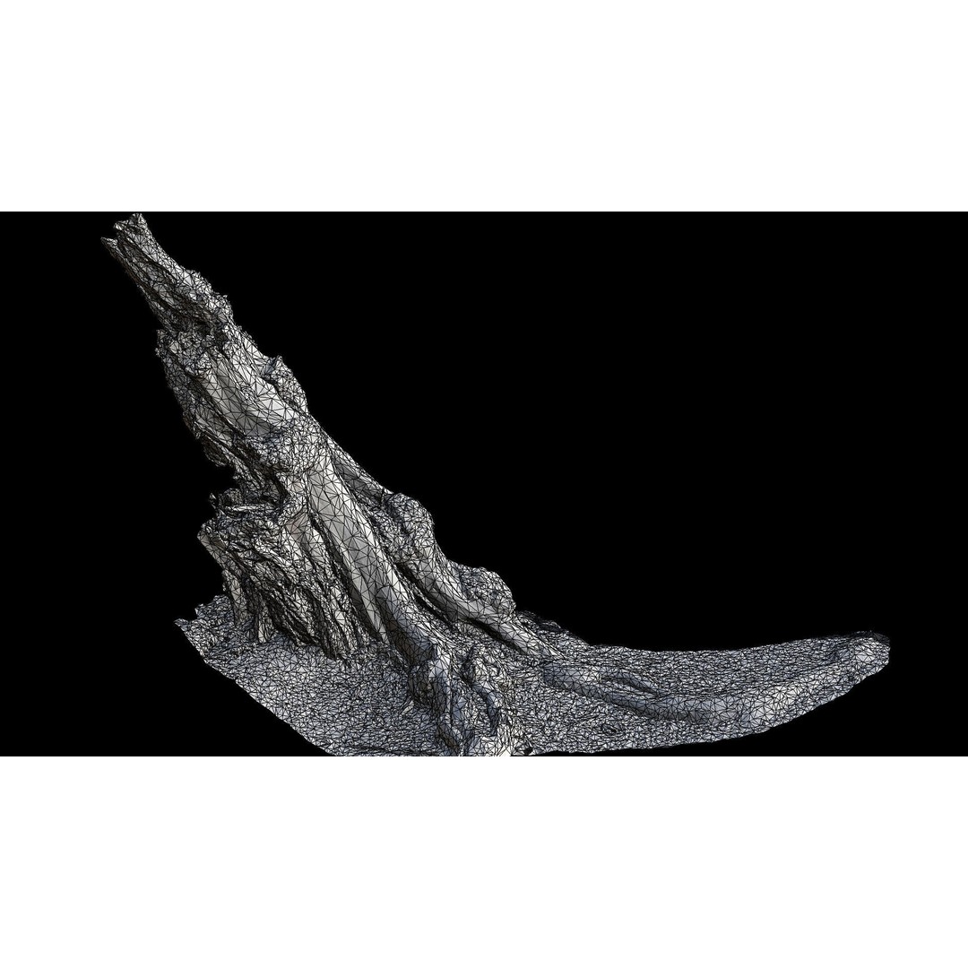 Old Tree Stump 3D Model – Low Poly Photogrammetry Asset, FBX - View 8