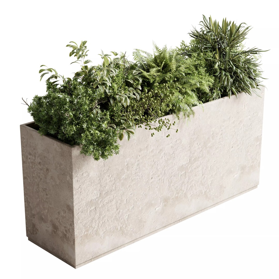 Concrete Box Plants 3D Model – Outdoor Decorative Set, PBR Textures - View 2