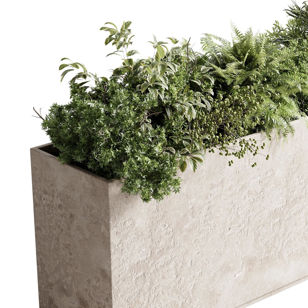 Concrete Box Plants 3D Model – Outdoor Decorative Set, PBR Textures - View 4