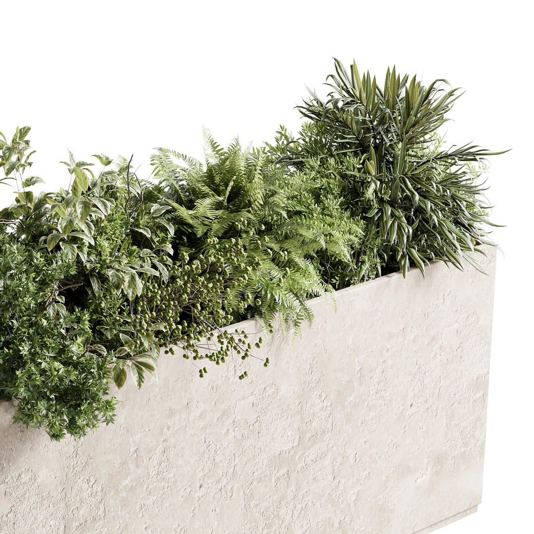 Concrete Box Plants 3D Model – Outdoor Decorative Set, PBR Textures - View 5