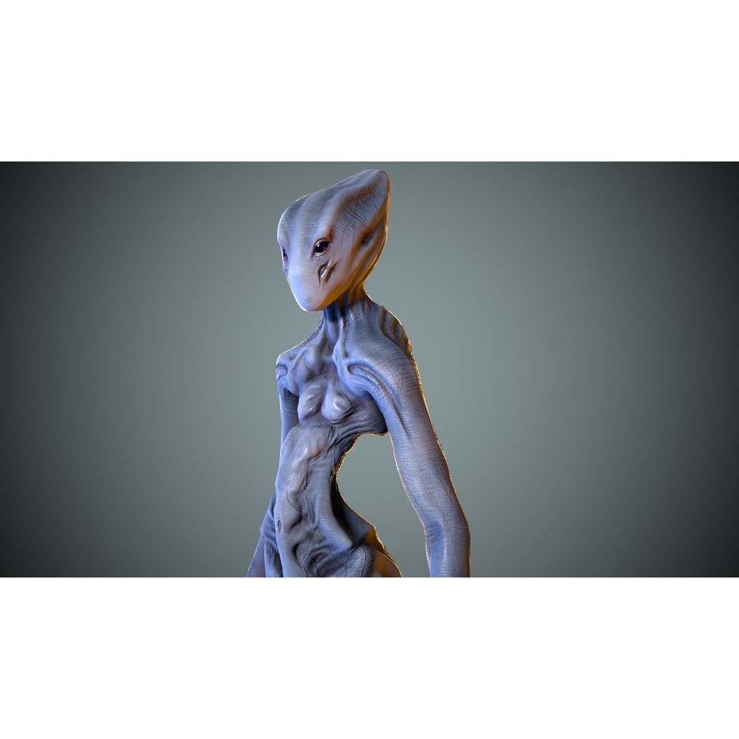 Alien Striscils 3D Model – Low Poly Game-Ready Character, FBX - View 13