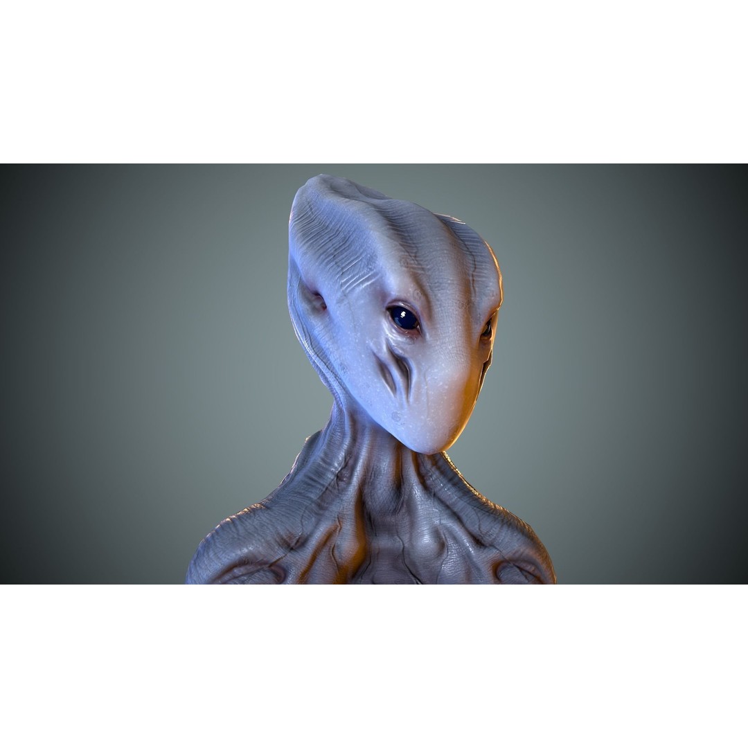 Alien Striscils 3D Model – Low Poly Game-Ready Character, FBX - View 22