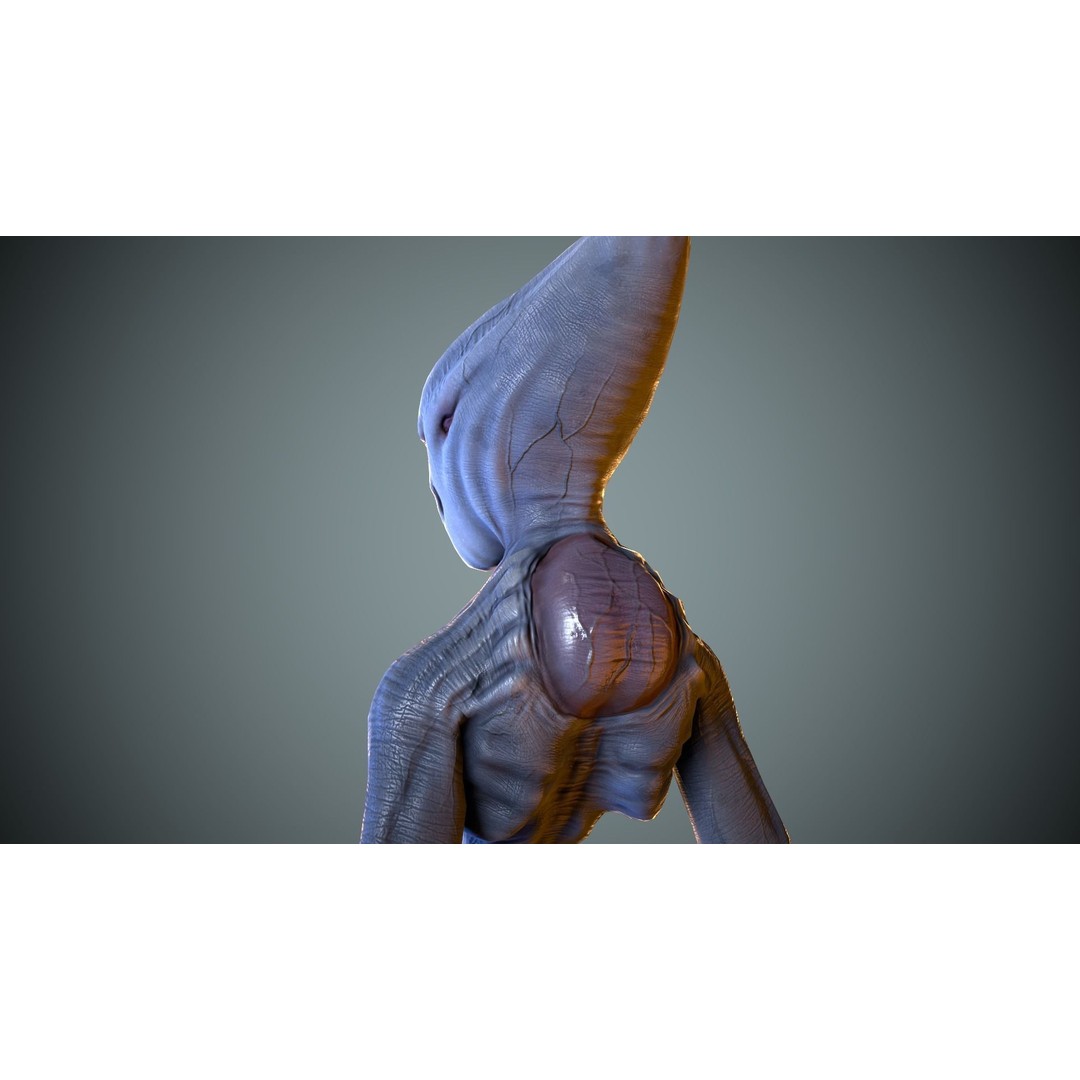Alien Striscils 3D Model – Low Poly Game-Ready Character, FBX - View 23