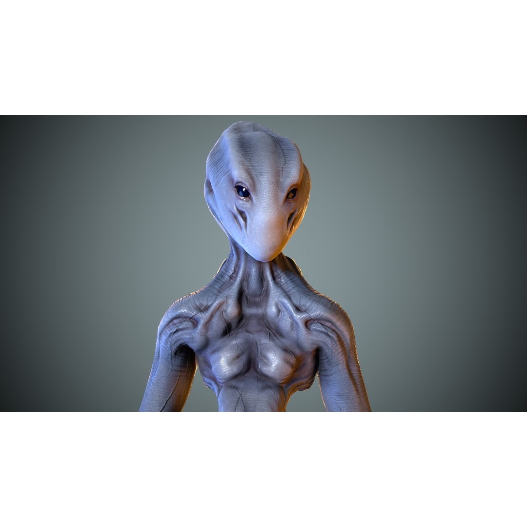 Alien Striscils 3D Model – Low Poly Game-Ready Character, FBX - View 8