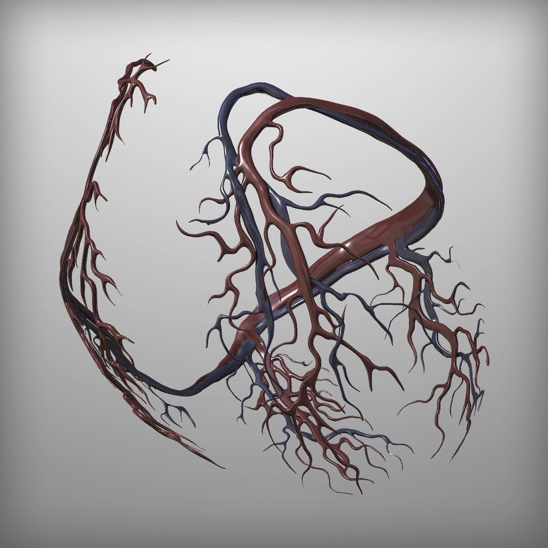 Human Heart - Low-Poly Game-Ready 3D Model - View 9