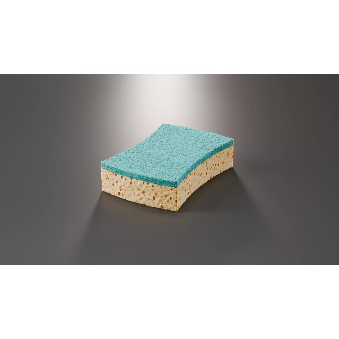 Sponge 3D Model – High Poly PBR Asset for Blender, FBX, OBJ - View 2