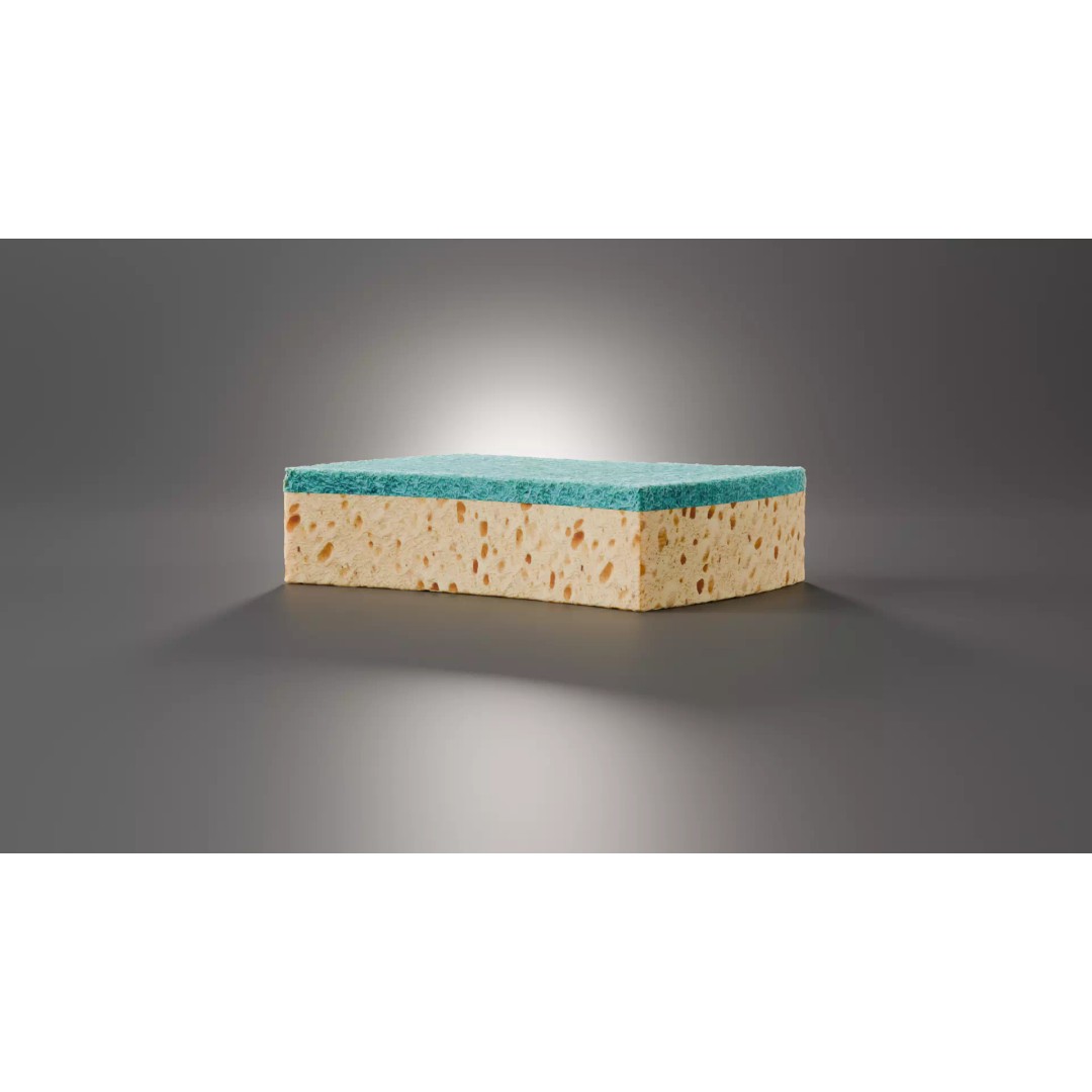 Sponge 3D Model – High Poly PBR Asset for Blender, FBX, OBJ - View 3
