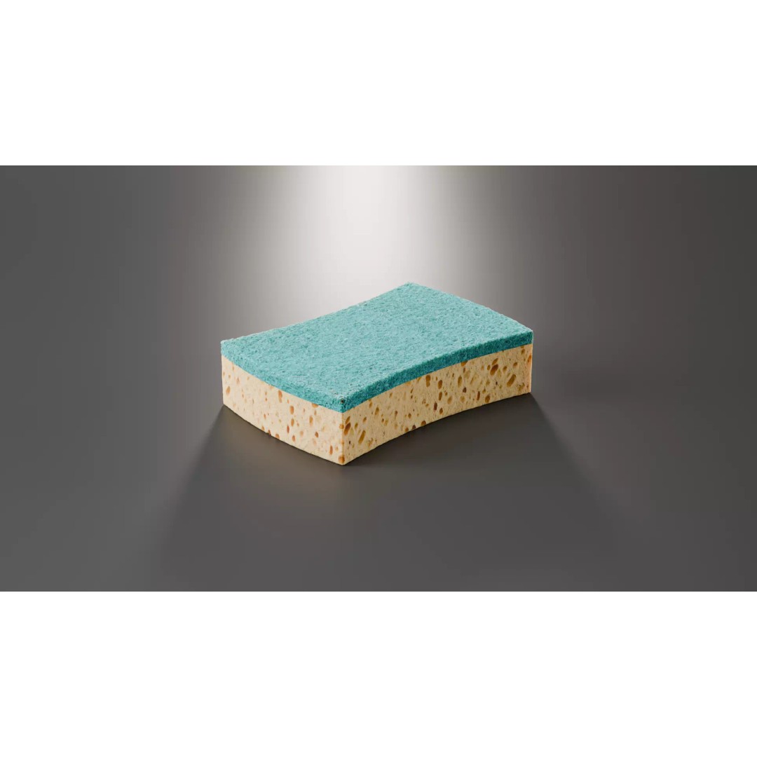 Sponge 3D Model – High Poly PBR Asset for Blender, FBX, OBJ - View 4