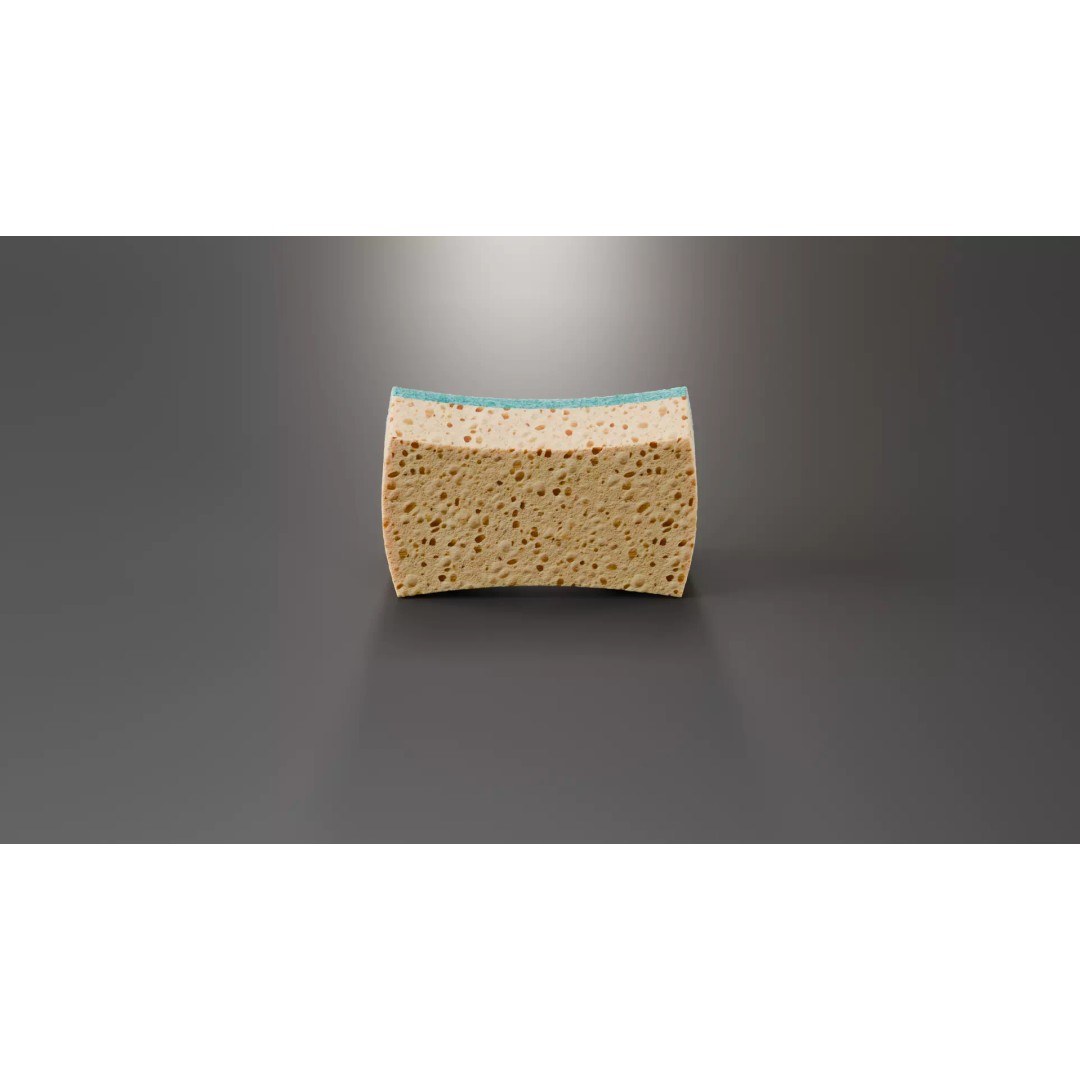 Sponge 3D Model – High Poly PBR Asset for Blender, FBX, OBJ - View 5