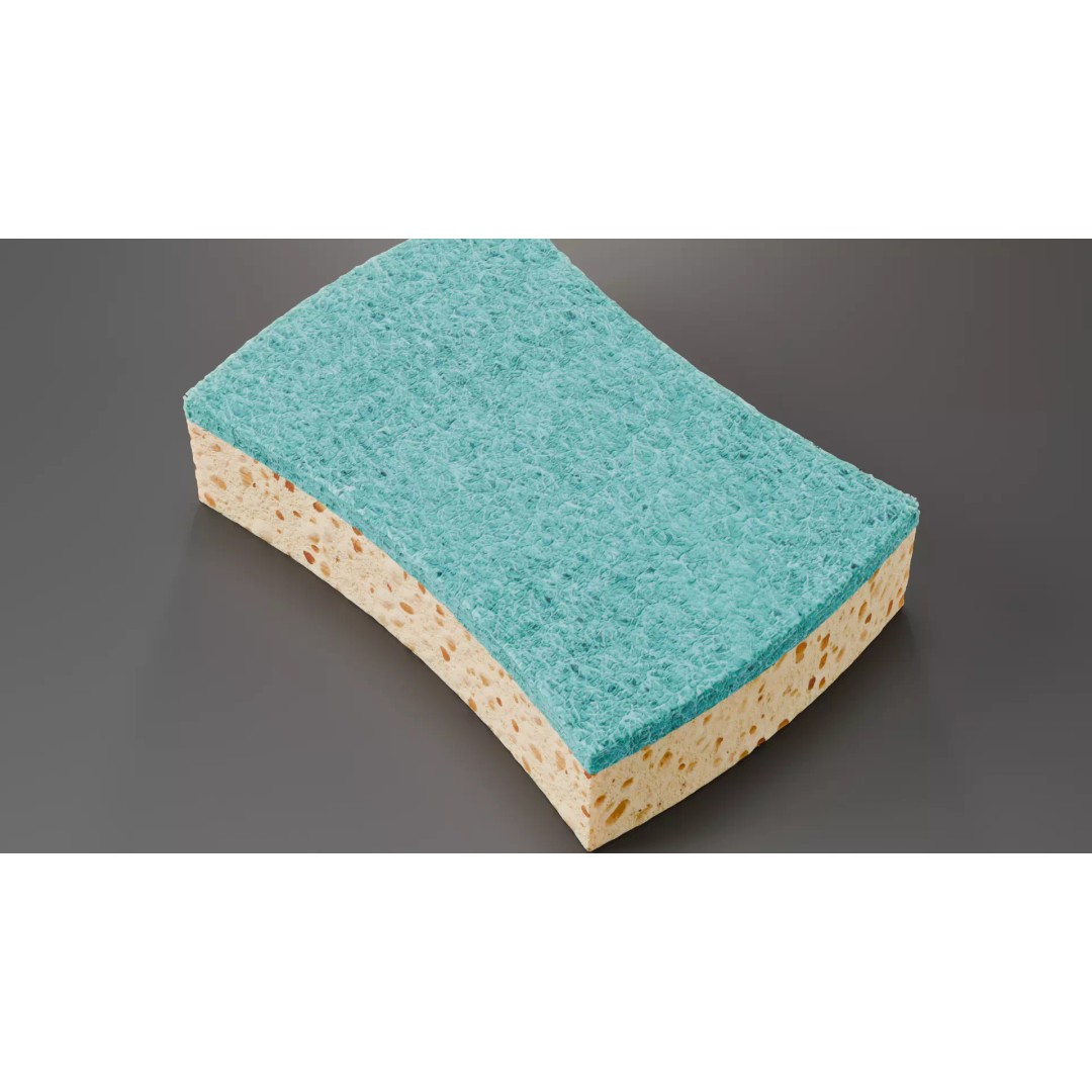 Sponge 3D Model – High Poly PBR Asset for Blender, FBX, OBJ - View 6