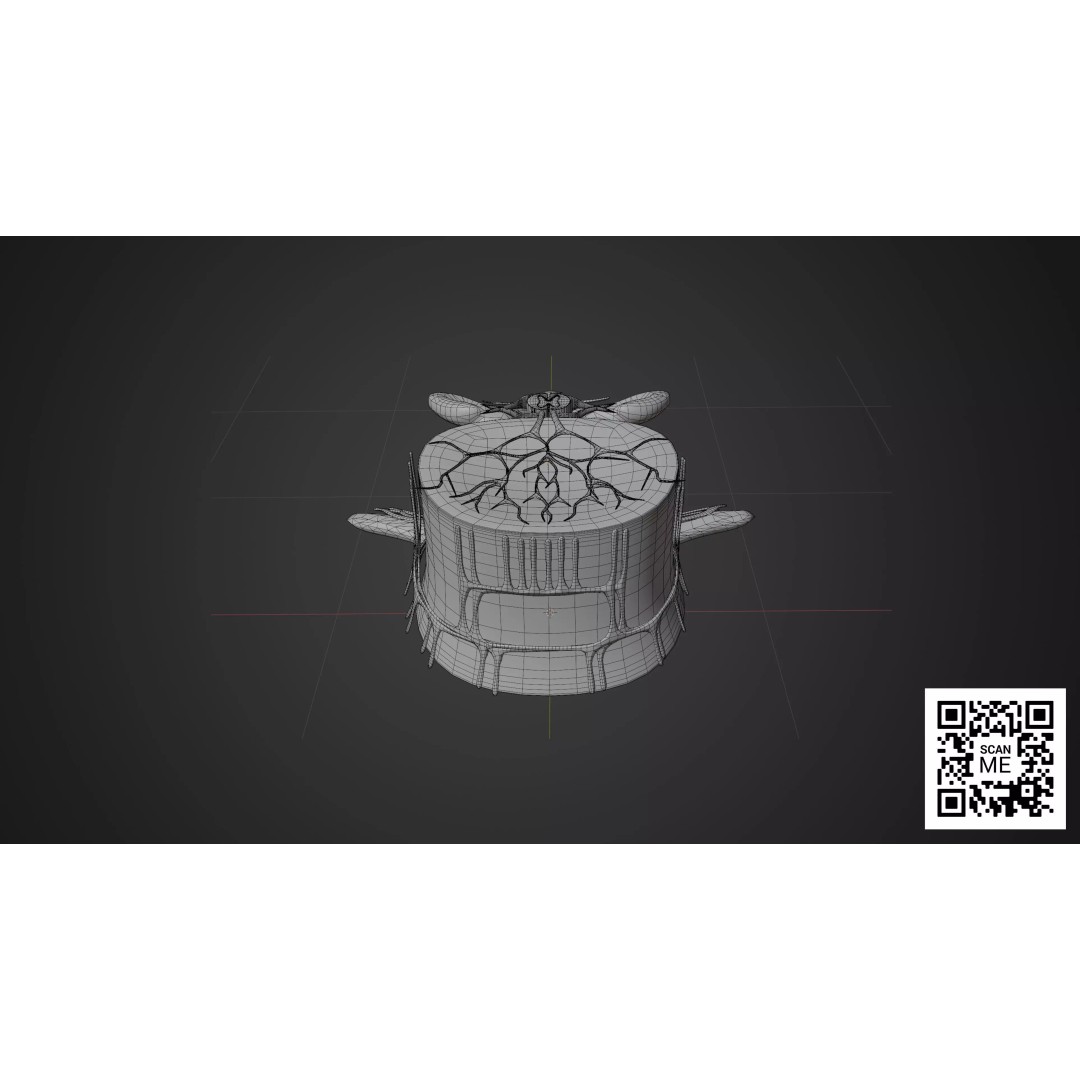 Vertebrae 3D Model – Detailed Low-Poly Spine Anatomy, FBX, OBJ - View 11