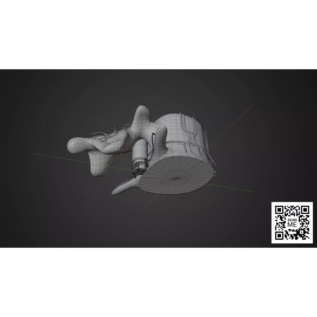Vertebrae 3D Model – Detailed Low-Poly Spine Anatomy, FBX, OBJ - View 6