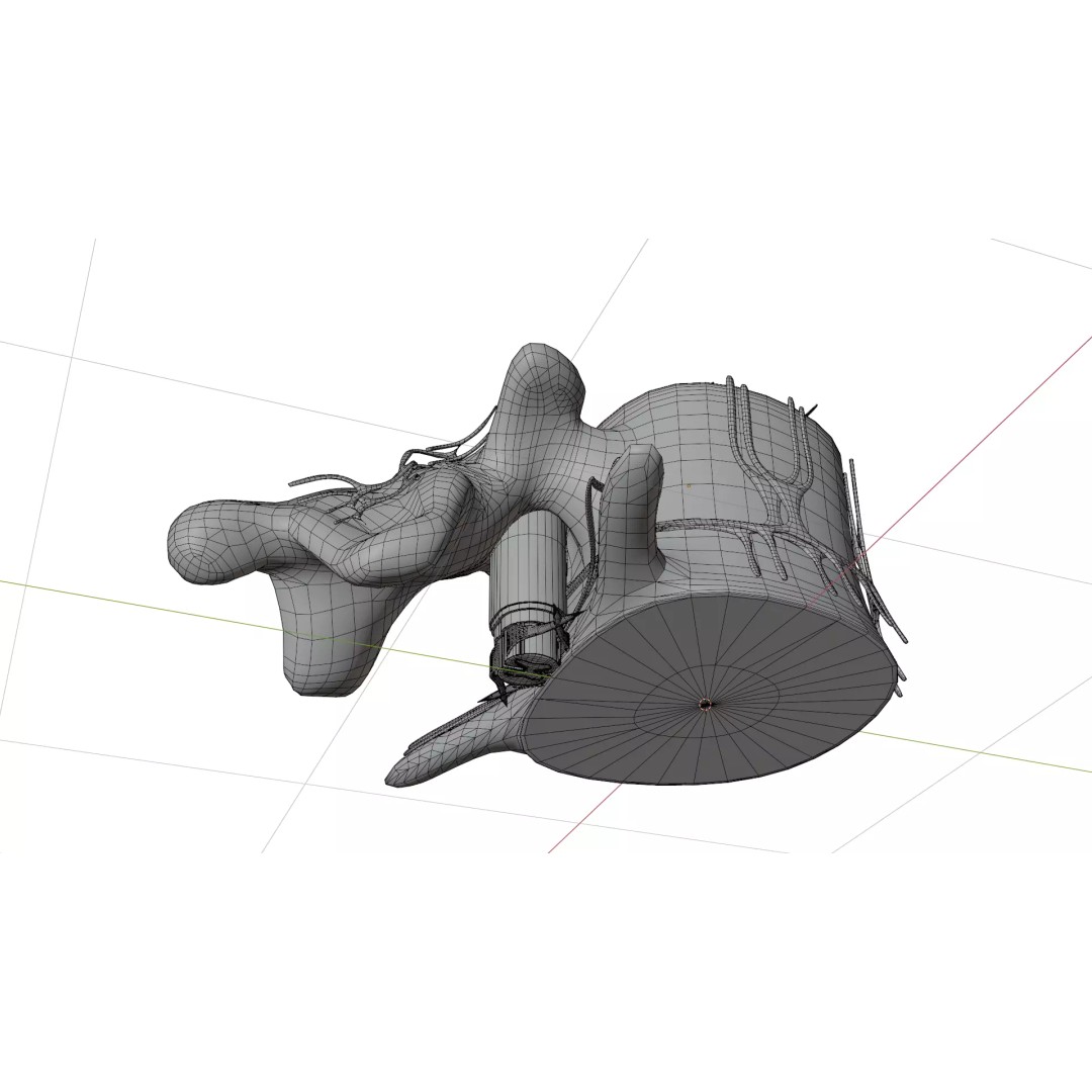 Vertebrae 3D Model – Detailed Low-Poly Spine Anatomy, FBX, OBJ - View 7