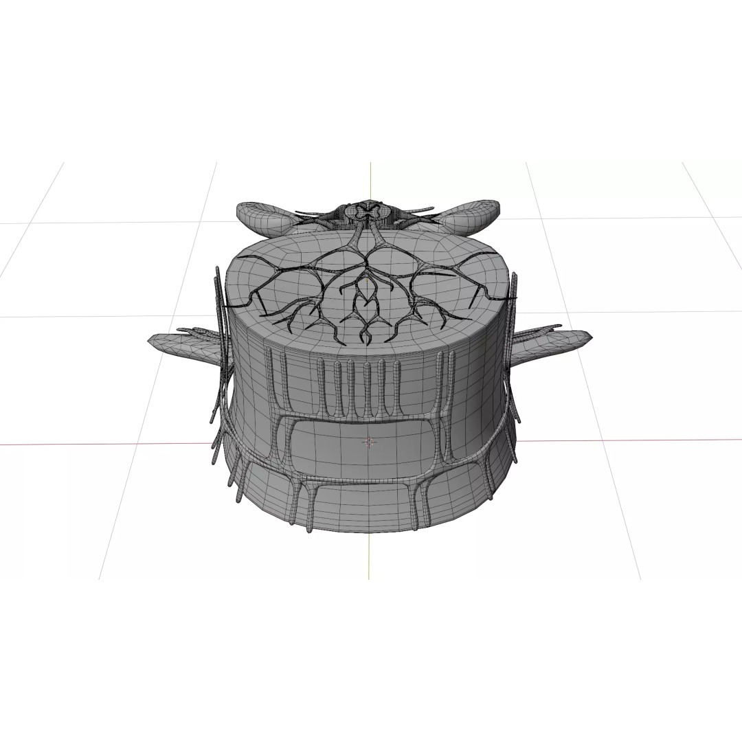 Vertebrae 3D Model – Detailed Low-Poly Spine Anatomy, FBX, OBJ - View 8
