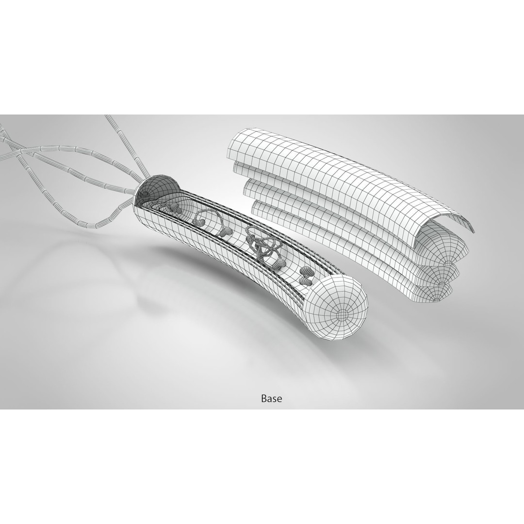 Prokaryotic Structure 3D Model – Low Poly PBR Asset, FBX, OBJ - View 13