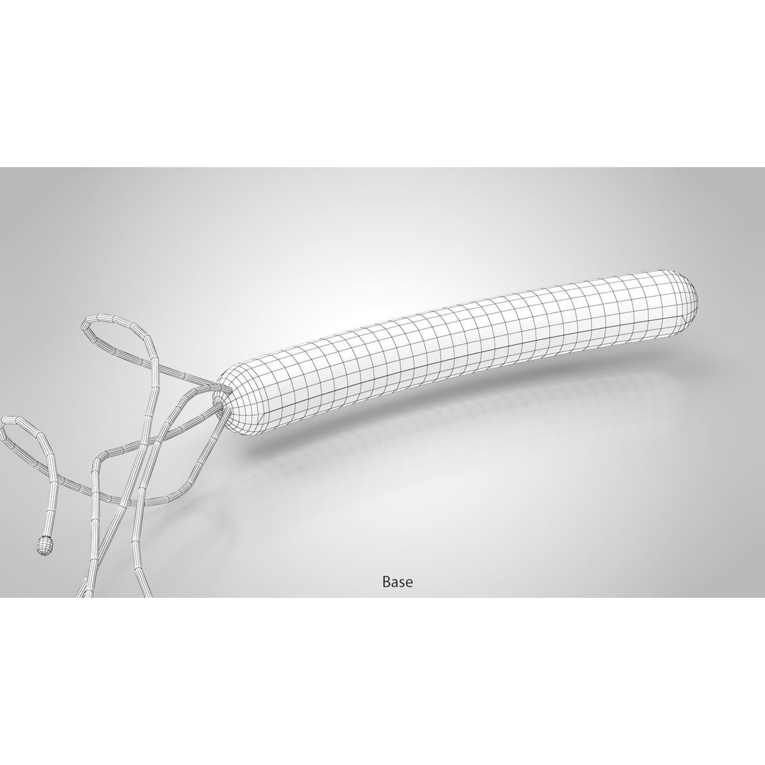 Prokaryotic Structure 3D Model – Low Poly PBR Asset, FBX, OBJ - View 18