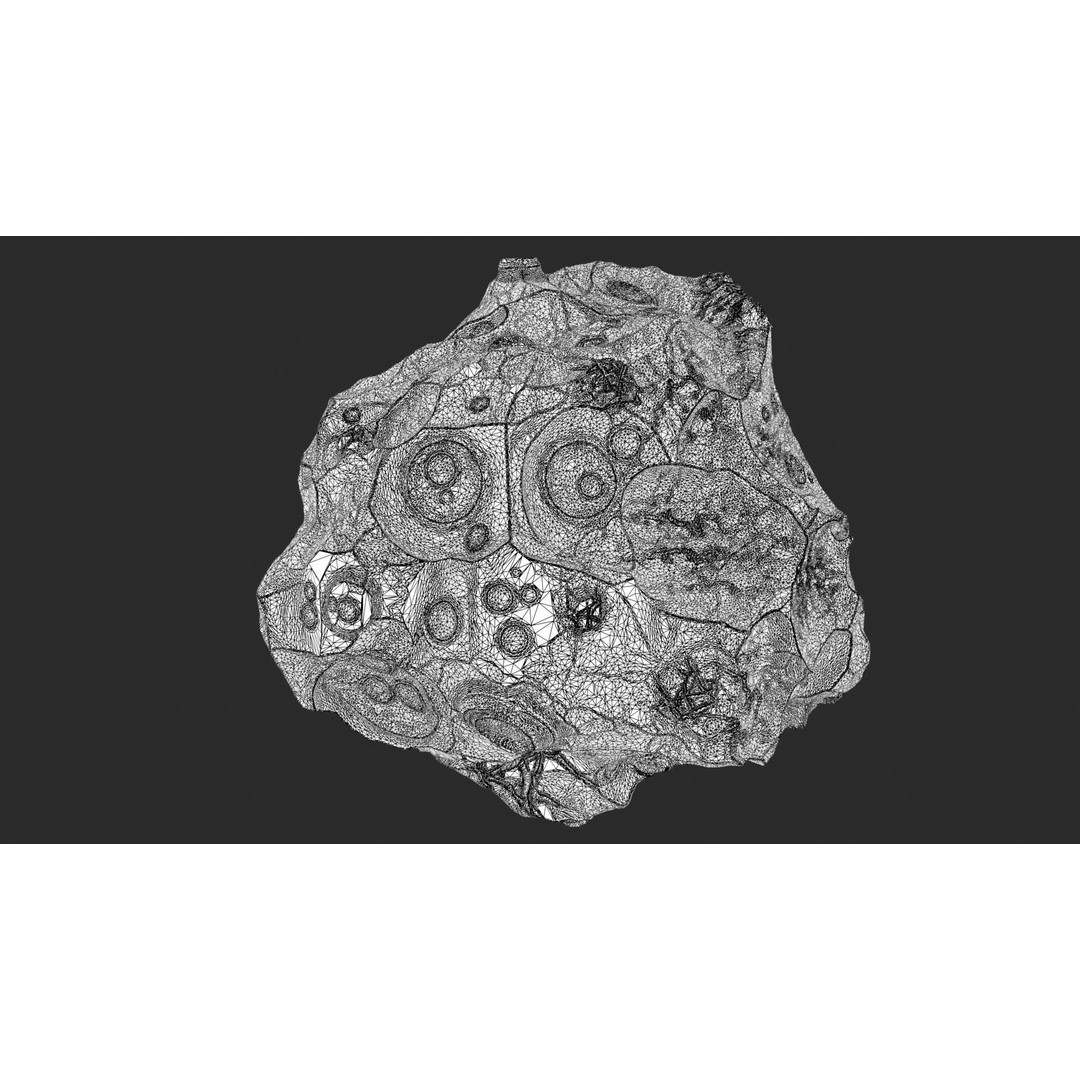 Asteroids 3D Model – Space Bundle with PBR Textures, FBX & OBJ - View 20