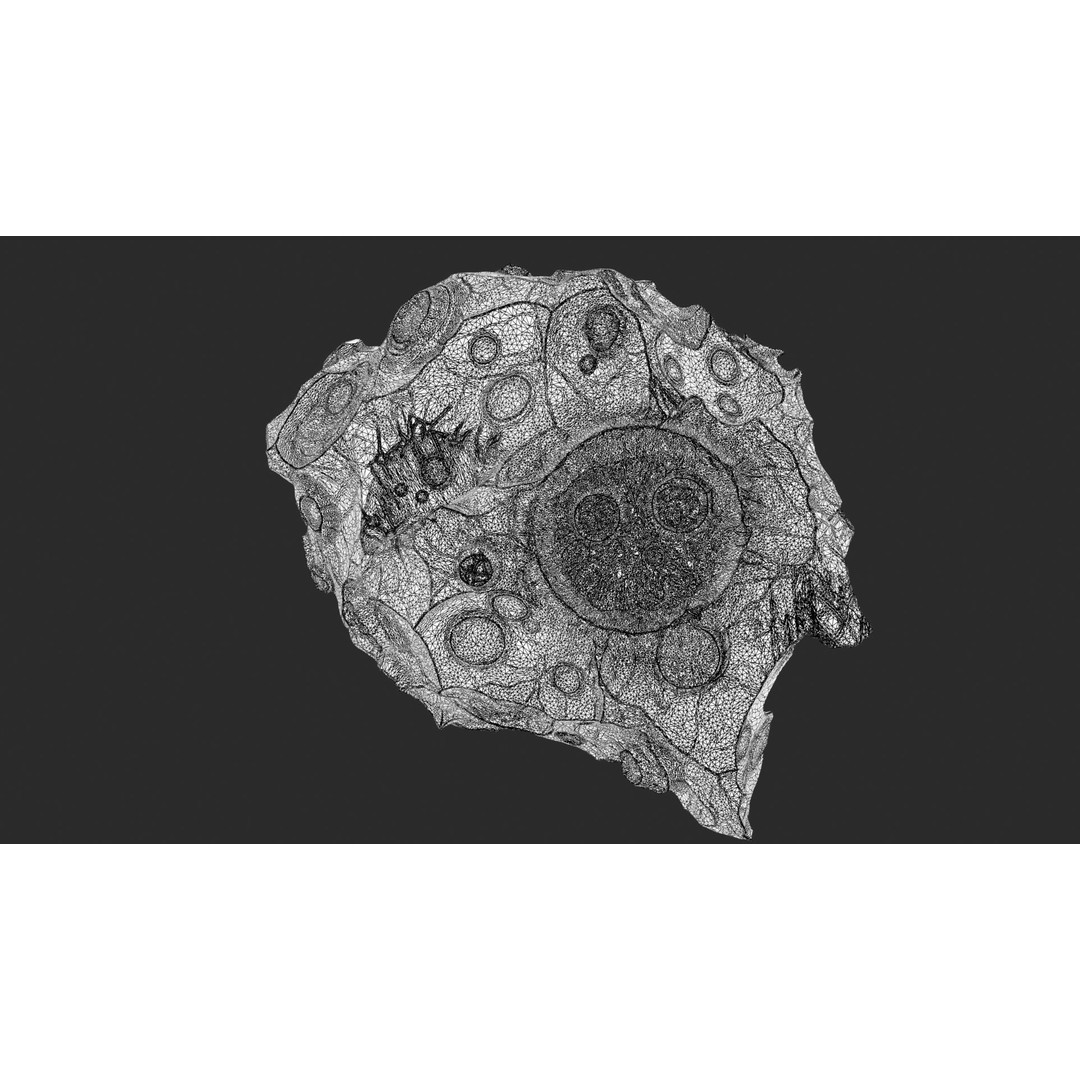 Asteroids 3D Model – Space Bundle with PBR Textures, FBX & OBJ - View 21