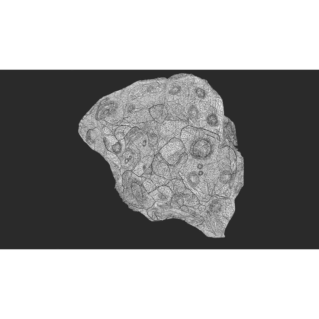 Asteroids 3D Model – Space Bundle with PBR Textures, FBX & OBJ - View 26