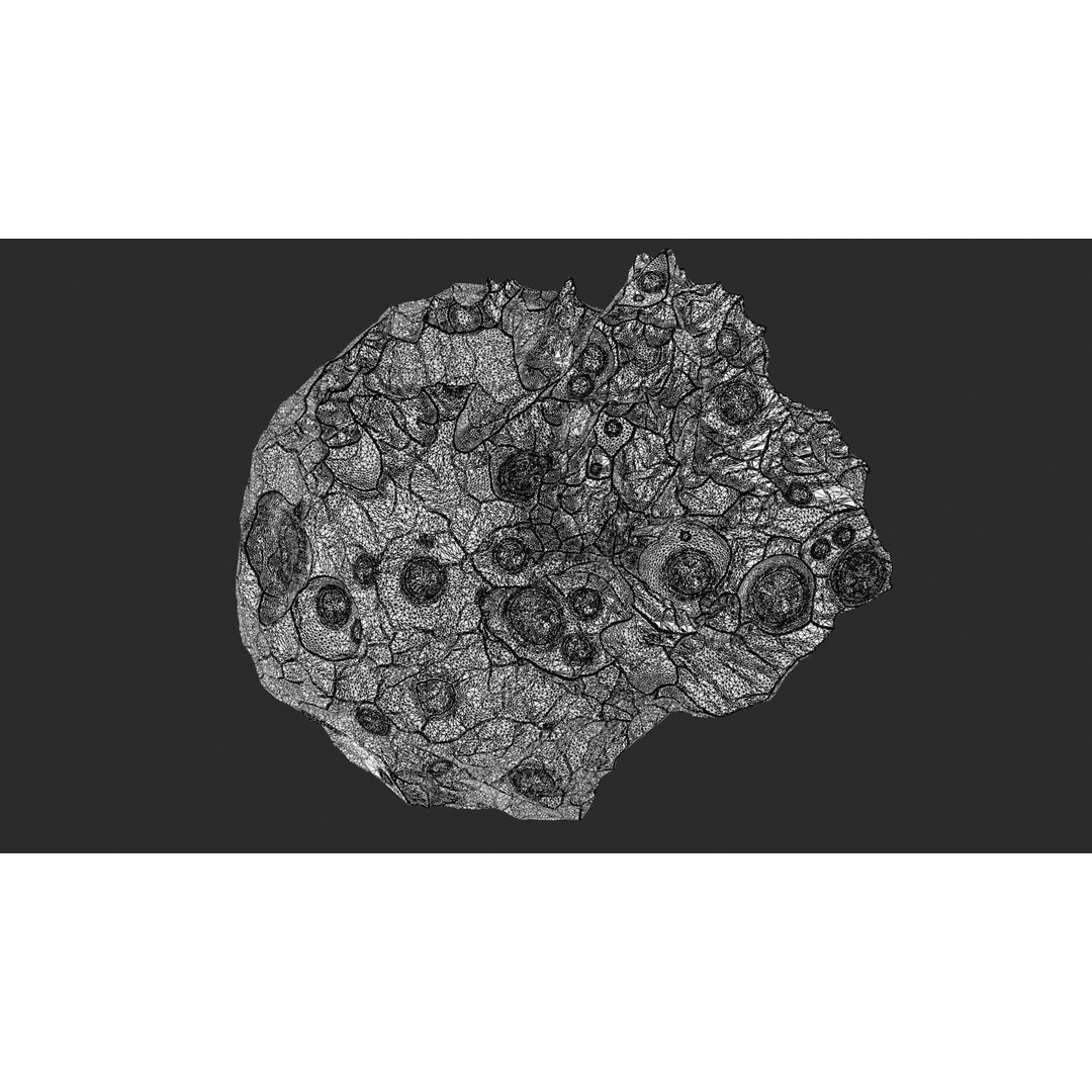 Asteroids 3D Model – Space Bundle with PBR Textures, FBX & OBJ - View 38