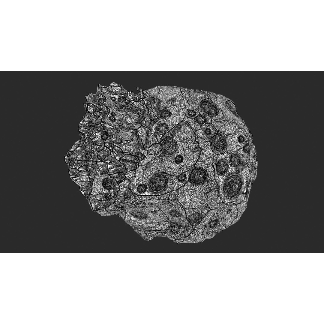 Asteroids 3D Model – Space Bundle with PBR Textures, FBX & OBJ - View 39