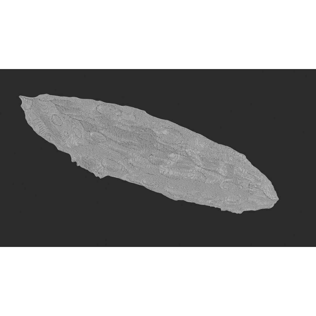 Asteroids 3D Model – Space Bundle with PBR Textures, FBX & OBJ - View 45